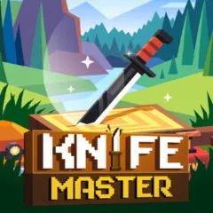 Play Knife Master Game