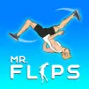 Play Mr Flip Game