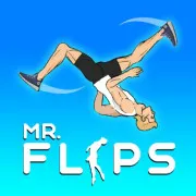 Play Mr Flip Game