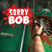 Play Sorry Bob Game